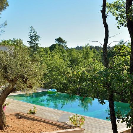 Sous Les Oliviers - Piscine Chauffee - Studios De Standing Tout-Equipes Saint-Maximin 外观 照片