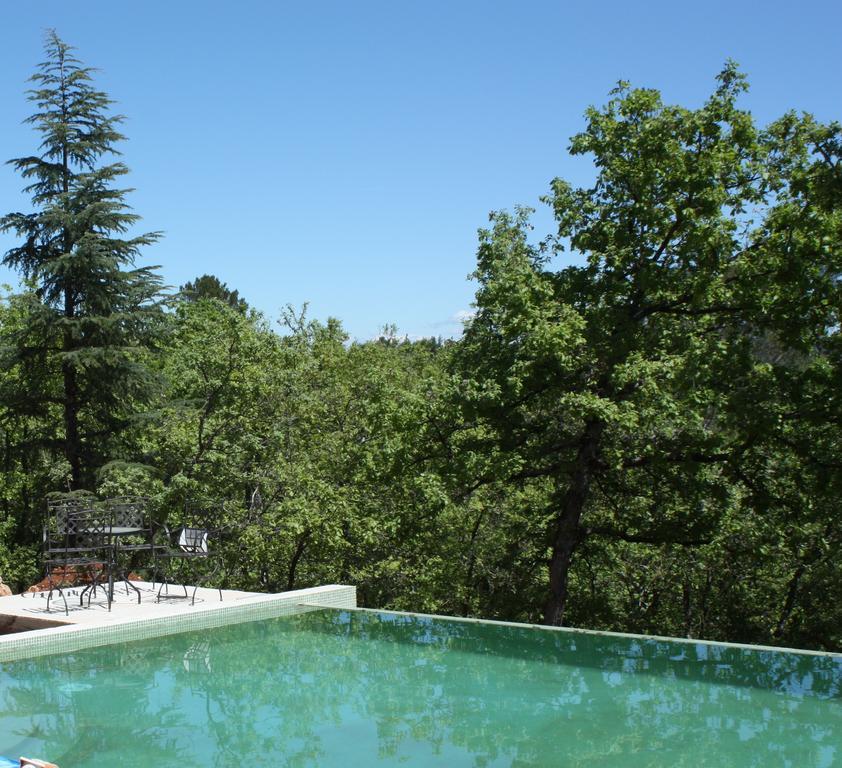 Sous Les Oliviers - Piscine Chauffee - Studios De Standing Tout-Equipes Saint-Maximin 客房 照片