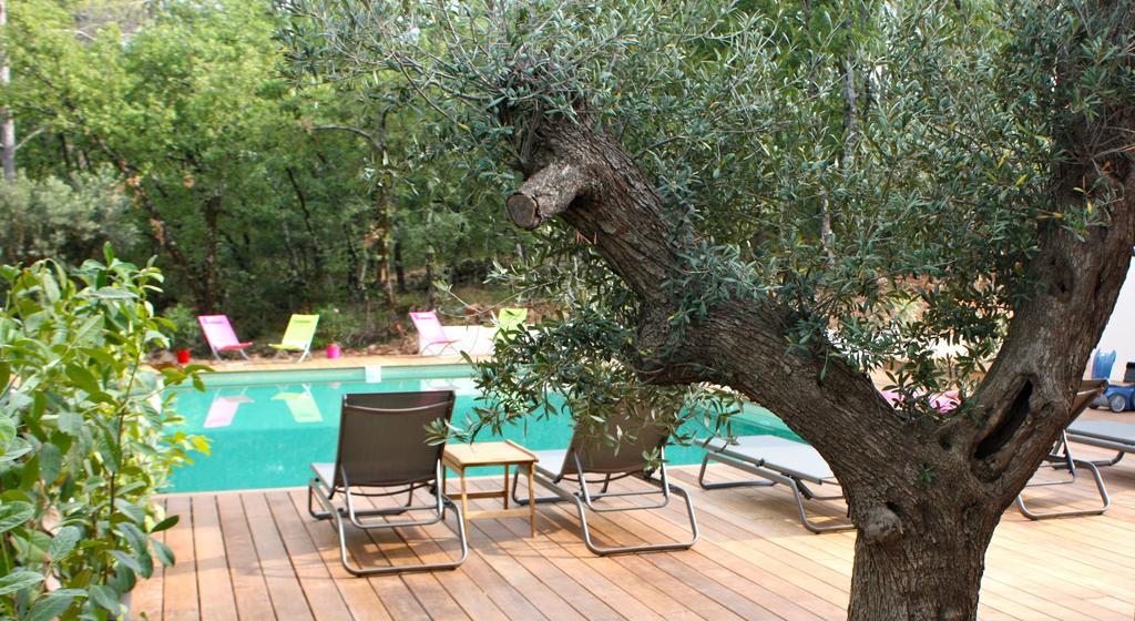 Sous Les Oliviers - Piscine Chauffee - Studios De Standing Tout-Equipes Saint-Maximin 客房 照片