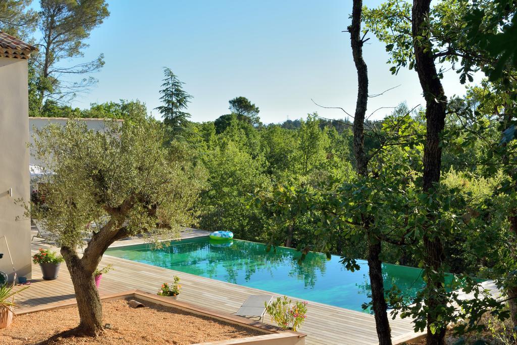 Sous Les Oliviers - Piscine Chauffee - Studios De Standing Tout-Equipes Saint-Maximin 外观 照片