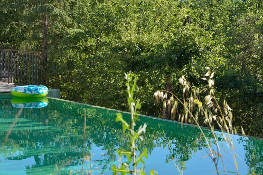 Sous Les Oliviers - Piscine Chauffee - Studios De Standing Tout-Equipes Saint-Maximin 外观 照片