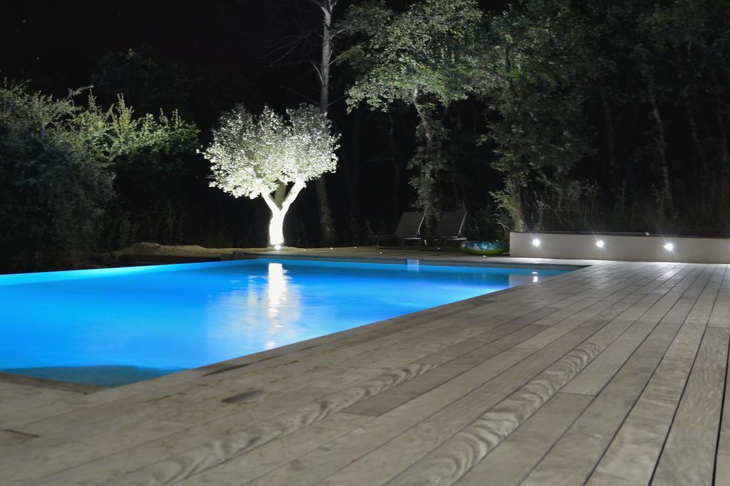 Sous Les Oliviers - Piscine Chauffee - Studios De Standing Tout-Equipes Saint-Maximin 外观 照片