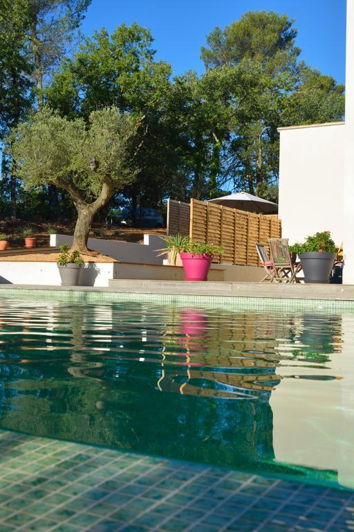 Sous Les Oliviers - Piscine Chauffee - Studios De Standing Tout-Equipes Saint-Maximin 外观 照片