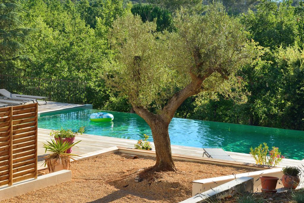 Sous Les Oliviers - Piscine Chauffee - Studios De Standing Tout-Equipes Saint-Maximin 外观 照片